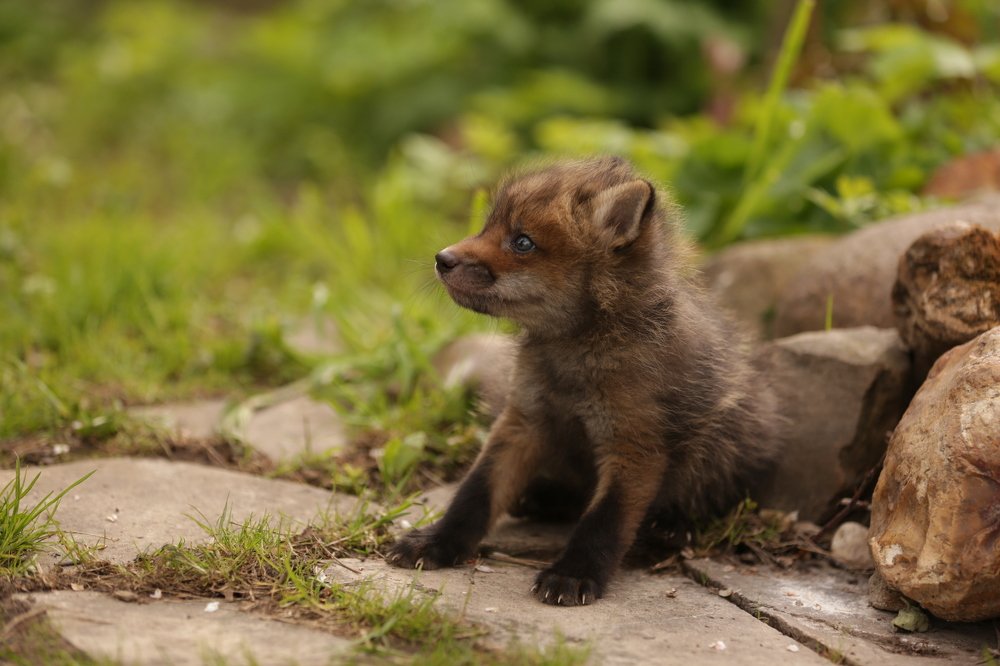 Photograph by Ирина Овчинникова