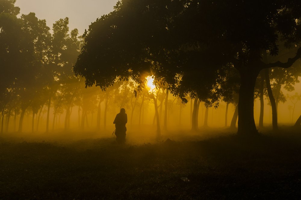 Фотография автора Tanay sarker