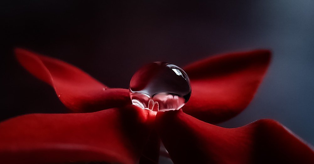 Photograph by Sreeraj S nair