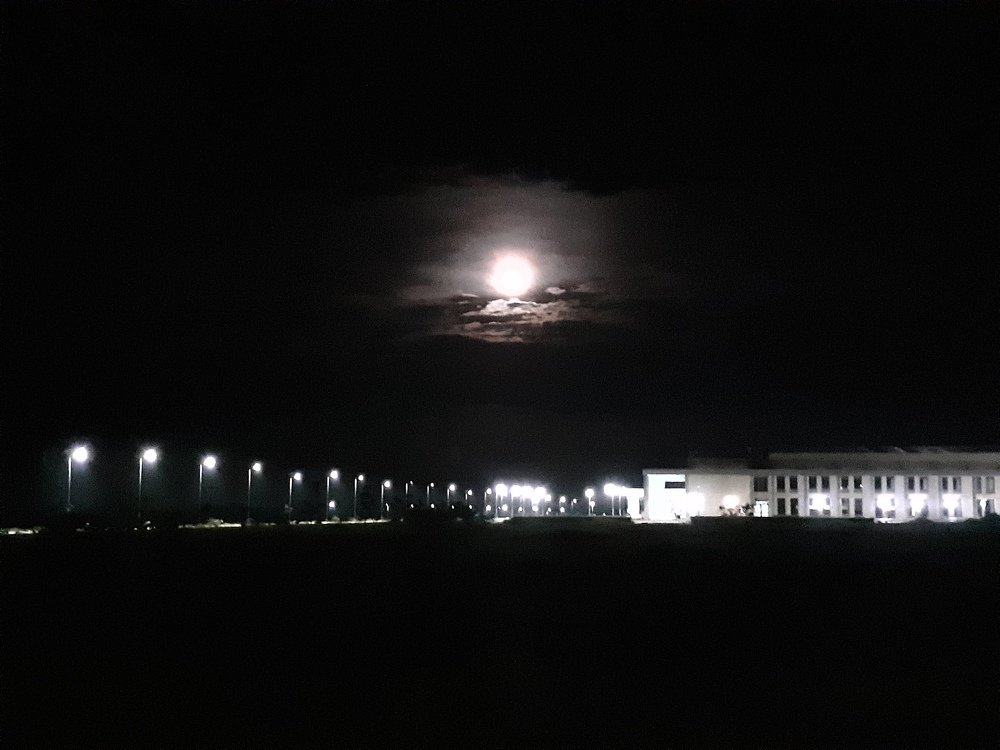 Photo #4667957