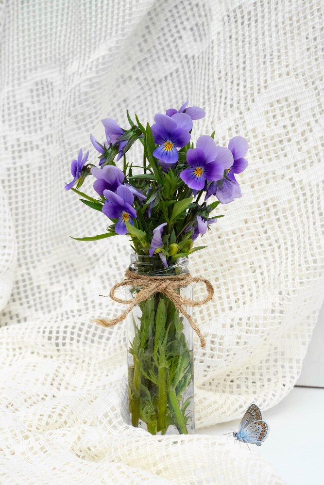 Photograph by Кадырова Анастасия