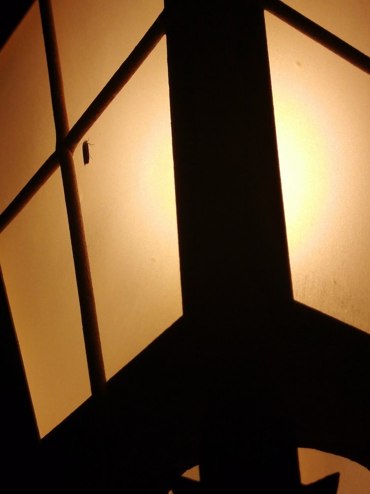 Blinding light