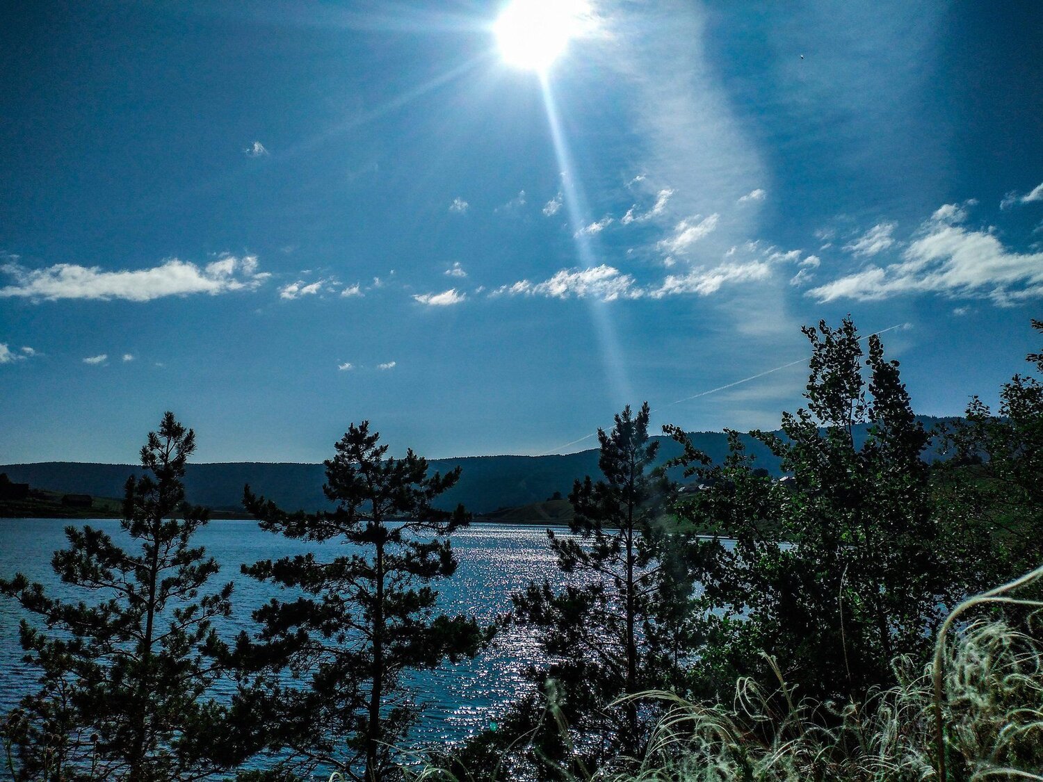 Photo #4668046