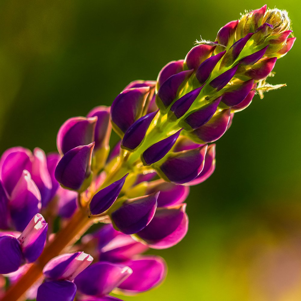 Фотография автора VadimKOVA