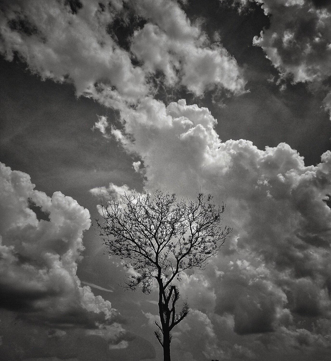 Photo #4668133