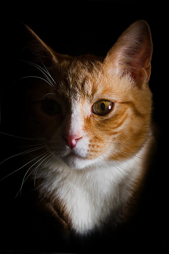 Photograph by Татьяна Юдина