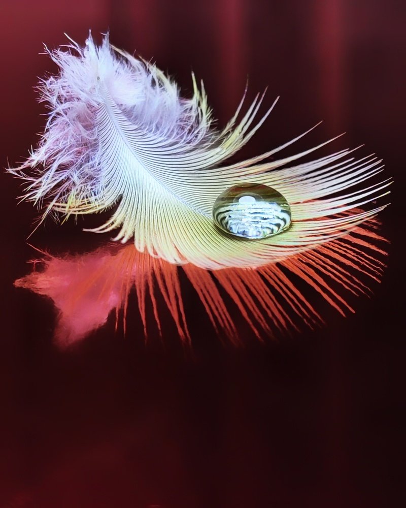 Photograph by Алеся Писнова