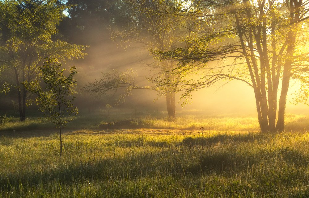 Photograph by Андрей Олонцев