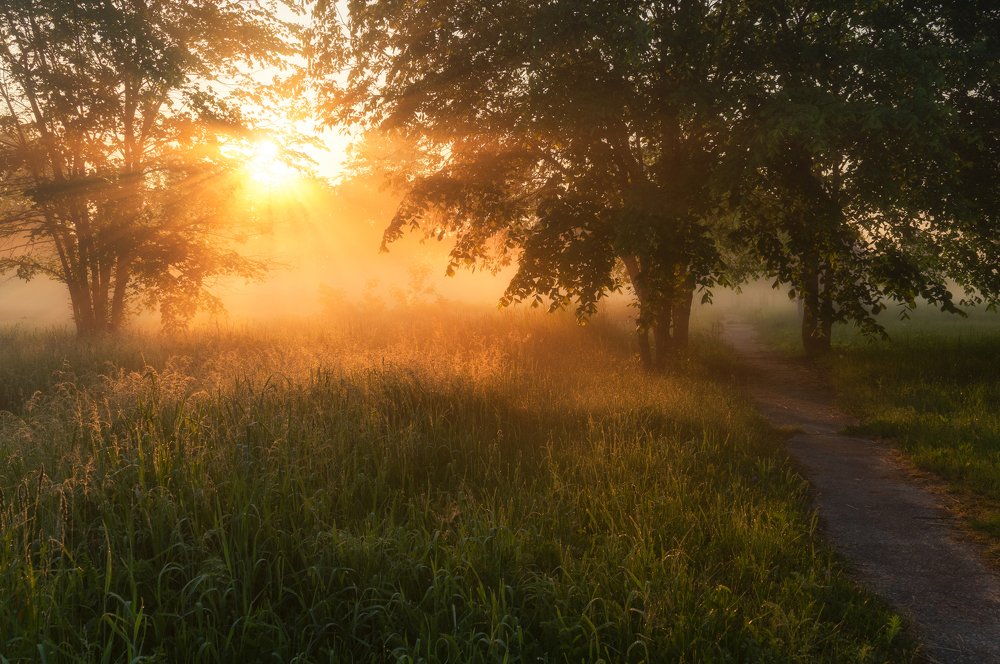 Photograph by Андрей Олонцев