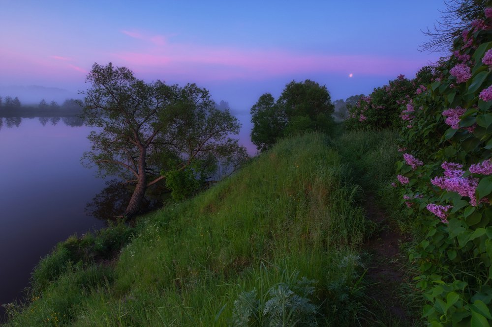 Photograph by Андрей Олонцев