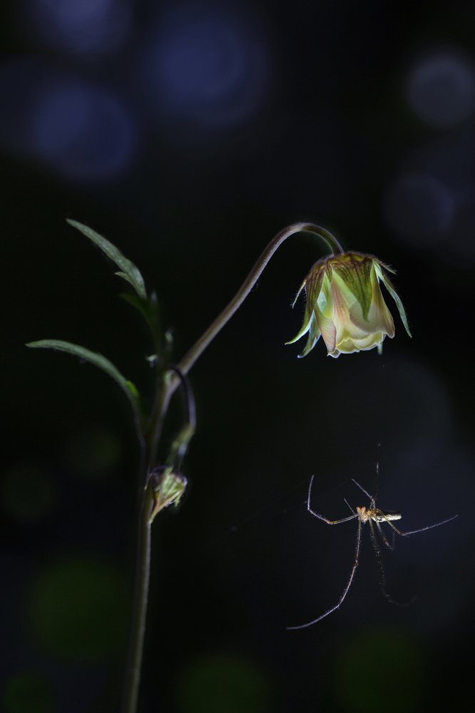 Photograph by Дериглазова Марина Владимировна