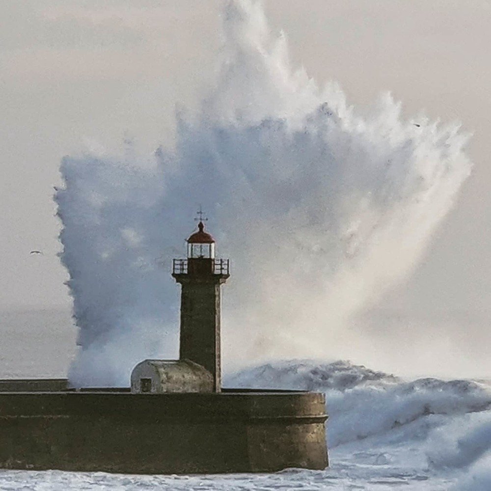 Photograph by Ricardo Mullenmeister