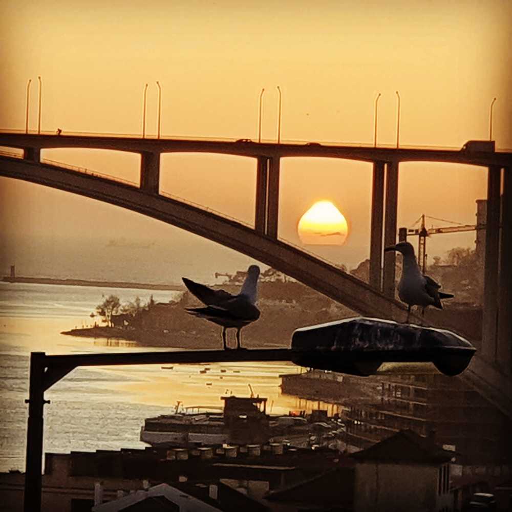 Photograph by Ricardo Mullenmeister