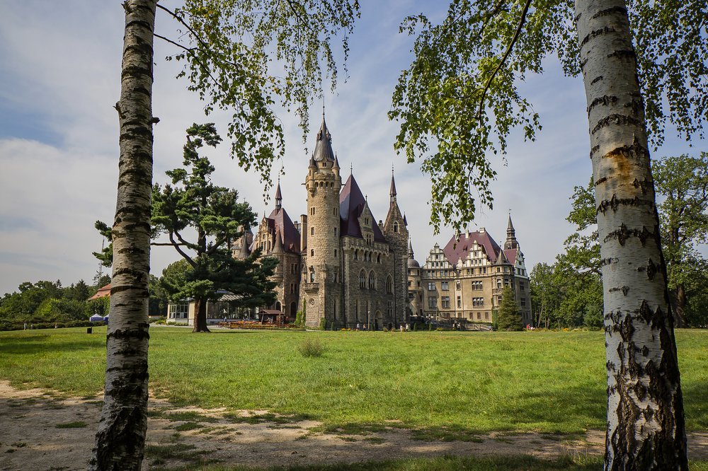 Фотография автора Marina Starovoyt