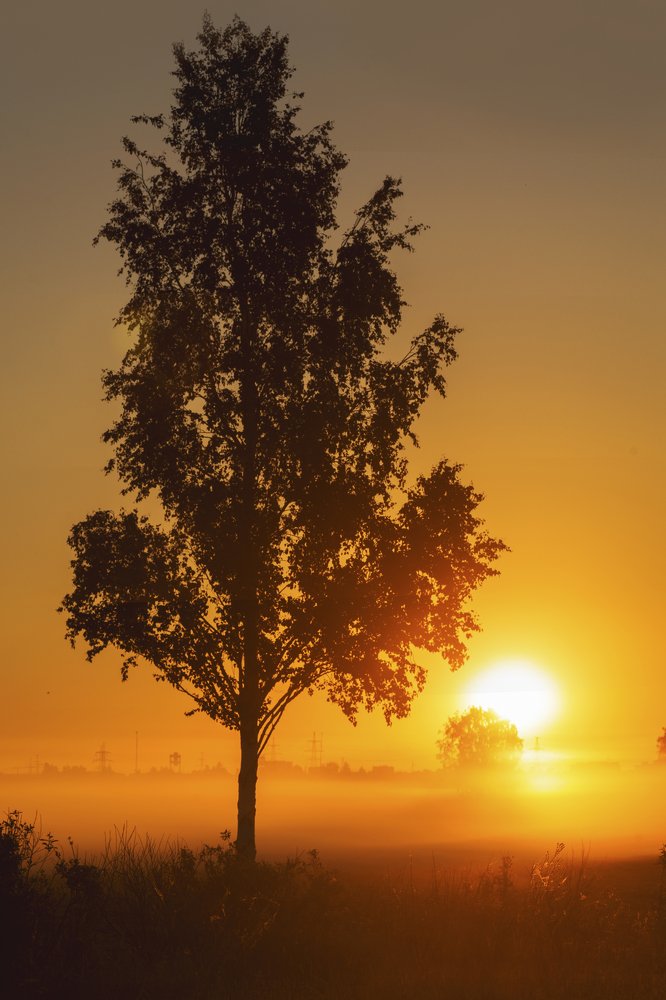 Photograph by Максим Вышарь