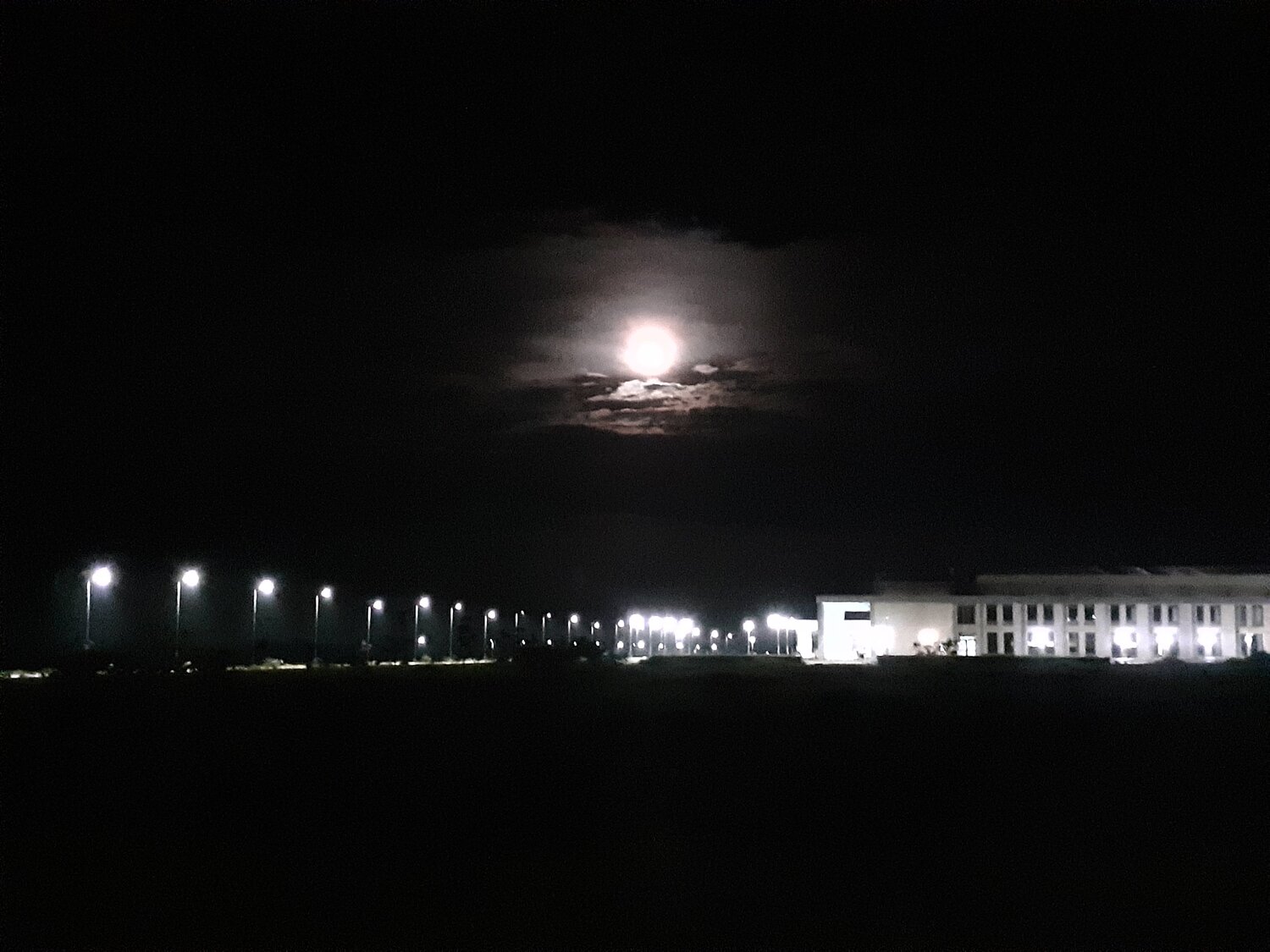 Photo #4668558