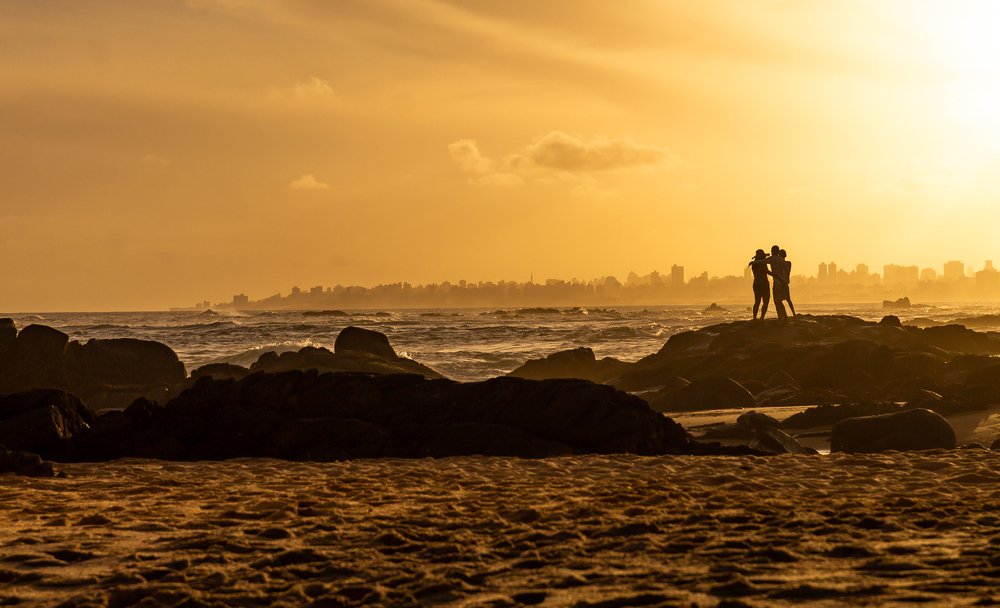 Photo #4668595