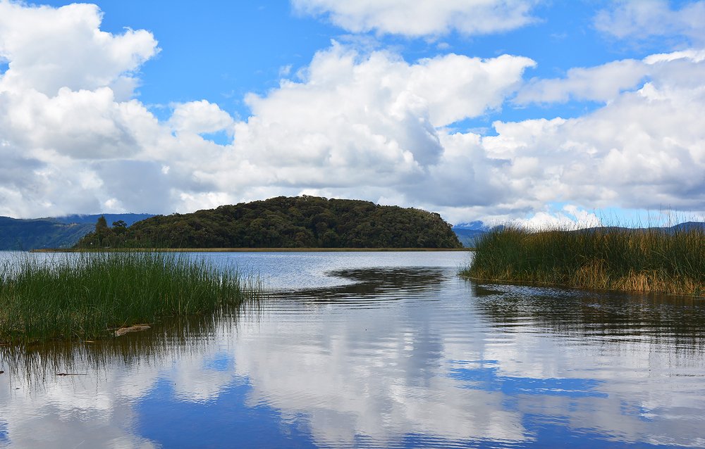 Photograph by Camila Lagos Arellano