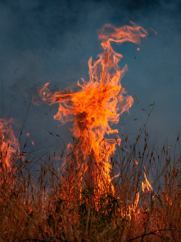 Photograph by Farshad Yazdankhah