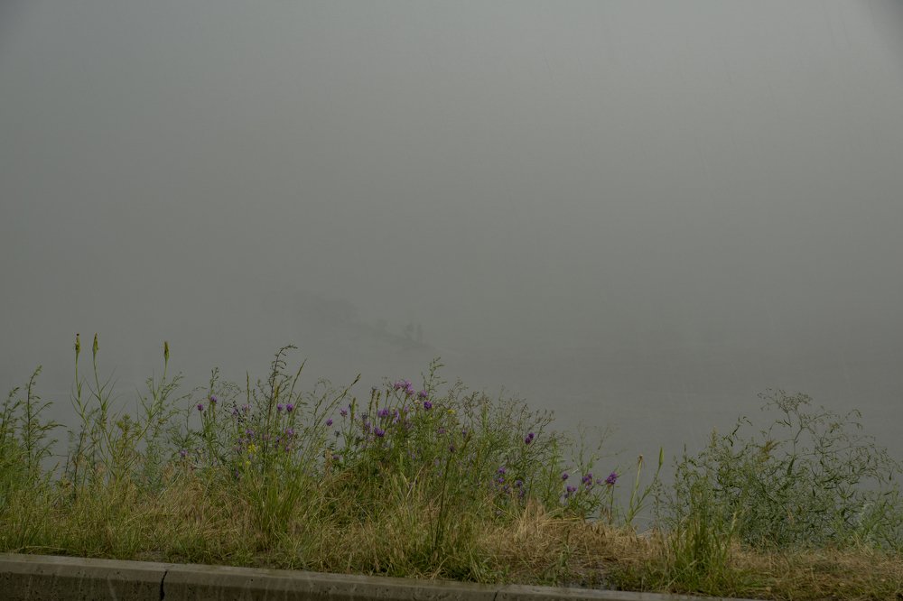 Photograph by Меркулова Наталья Геннадьевна