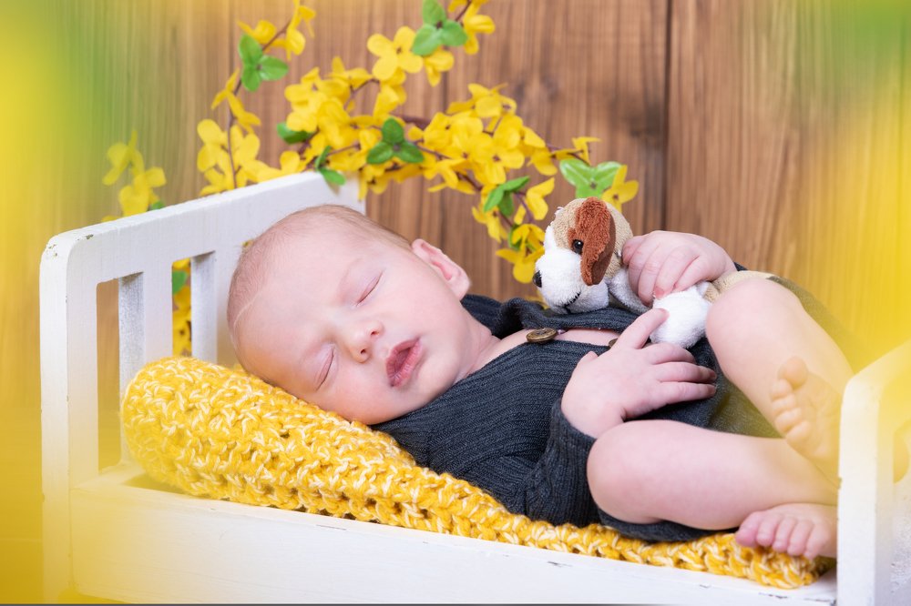 Photograph by Ilze Krone