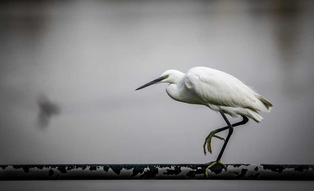 Photograph by Igor Babichenko