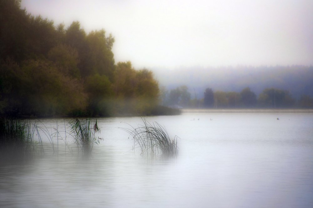 Photograph by Ekaterina Fadeeva