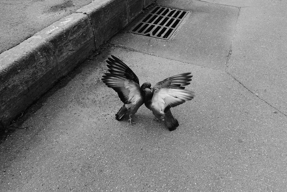 Жаркий поцелуй