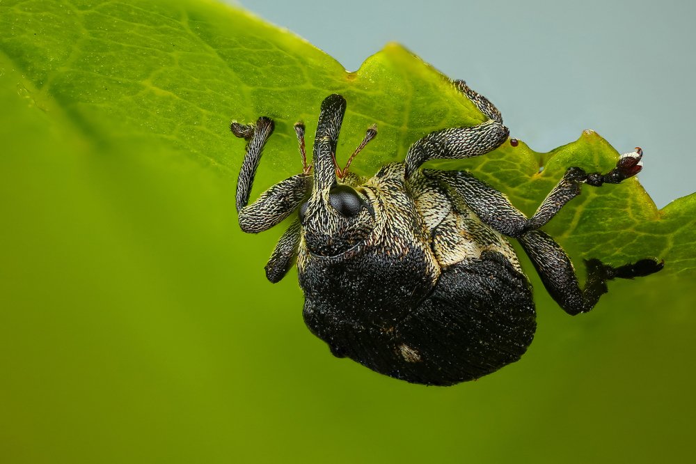 Вверх тормашками