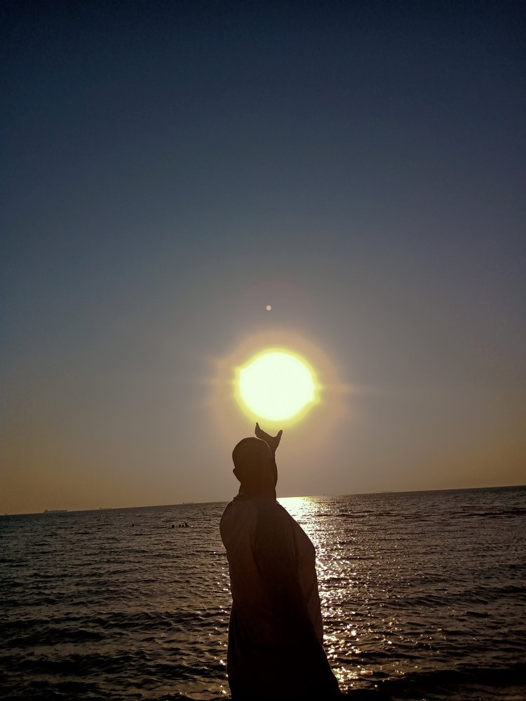 Catch the sun