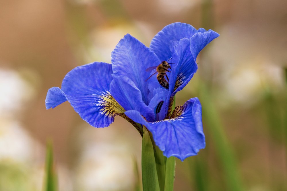 Photograph by Демьян Лопатов