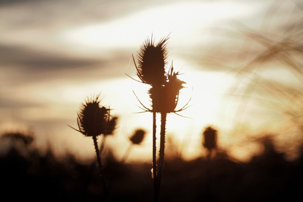 Photograph by Bruno Rodríguez