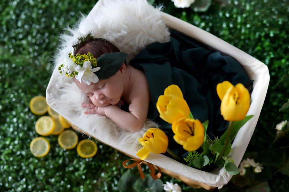 Фотография автора Katerina Zlateva