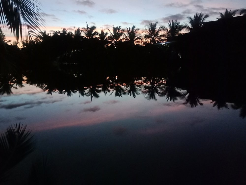 Photo #4669128