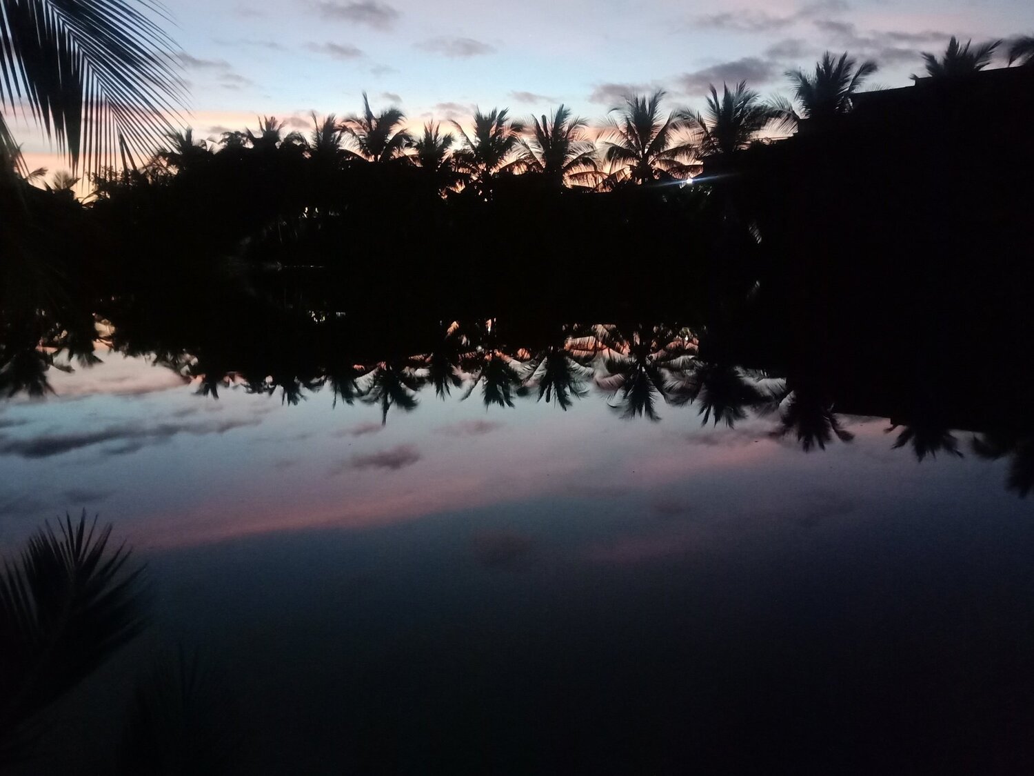 Photo #4669128