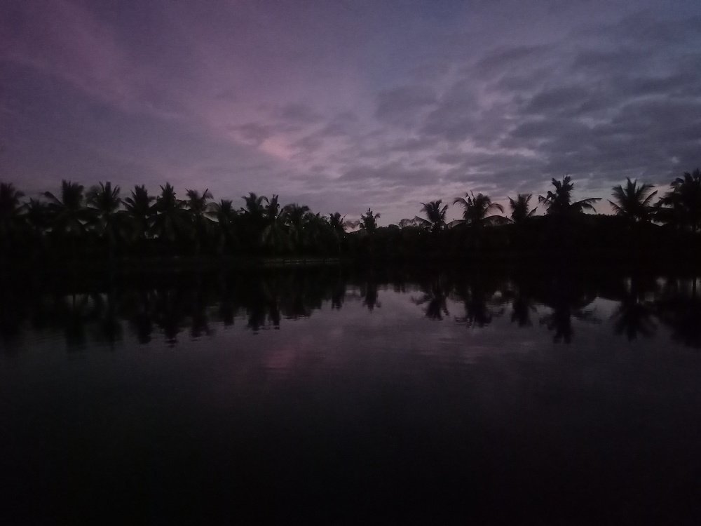 Photo #4669129