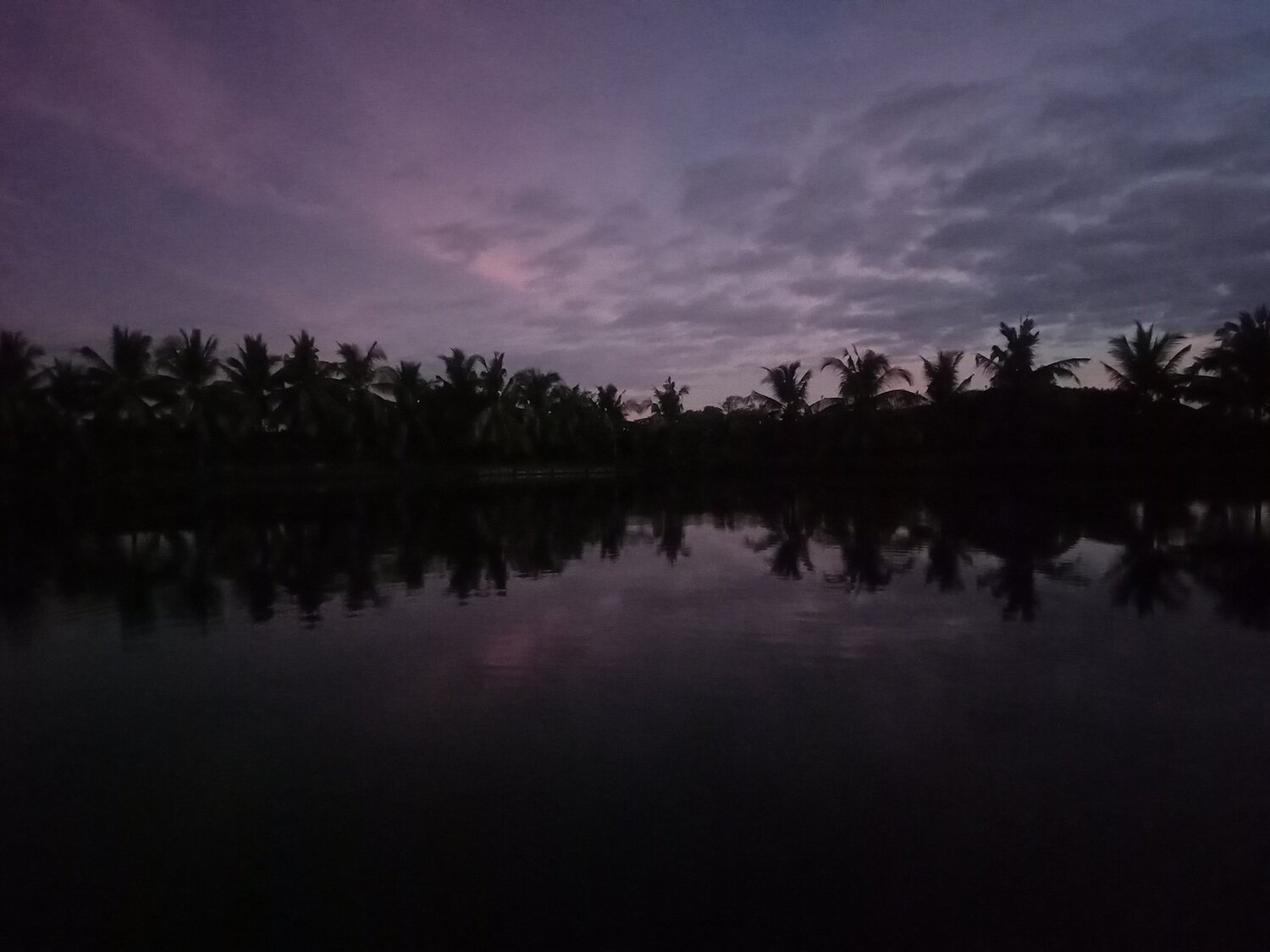 Photo #4669129