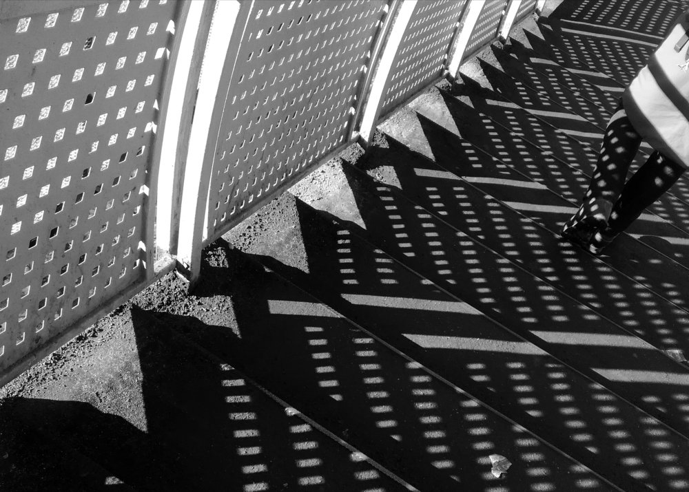 Photograph by Диана Арье