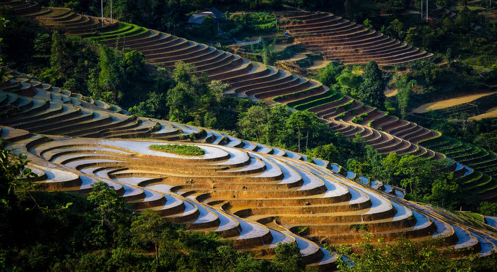 Photograph by Nguyễn Cường