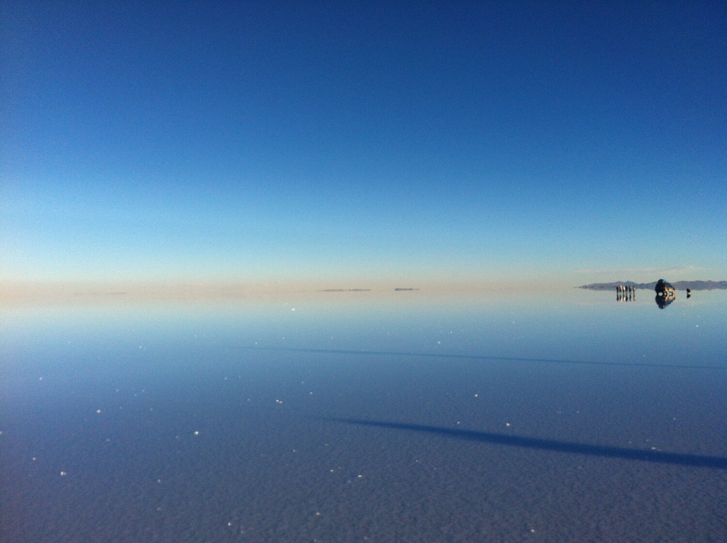 Photo #4669267