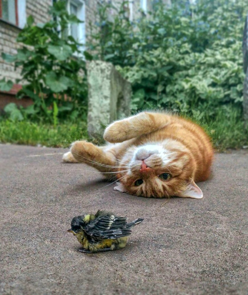 Photograph by Ринат Валиев