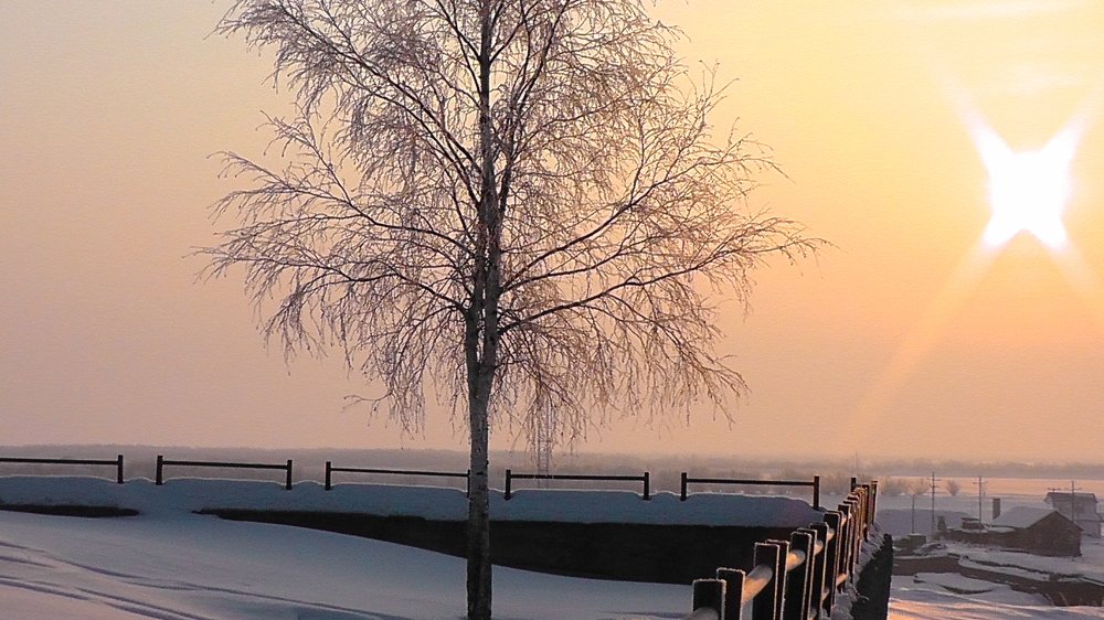 Берёзово...утро!