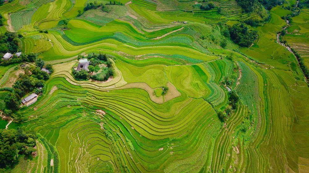 Photograph by Đức Trung