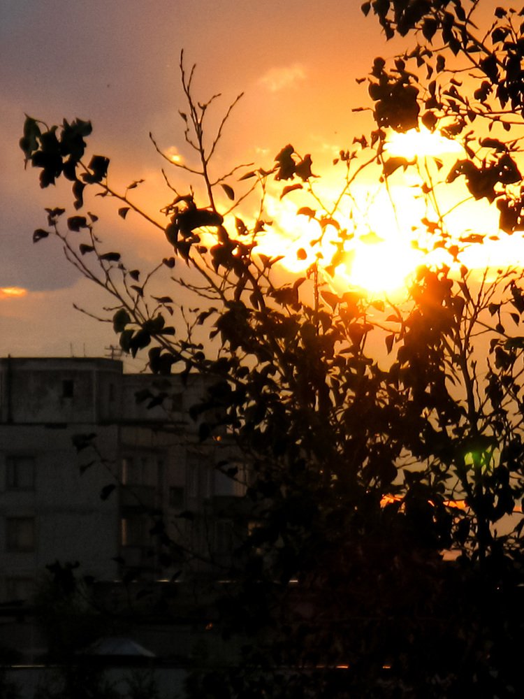 Photograph by Виктор Пономарёв