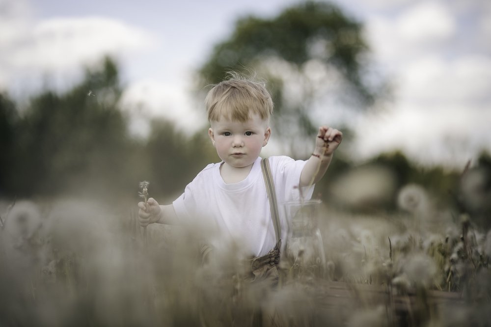 Dandelion boy