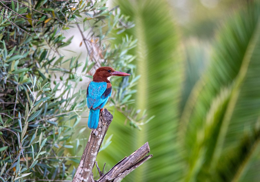 Photograph by Igor Babichenko