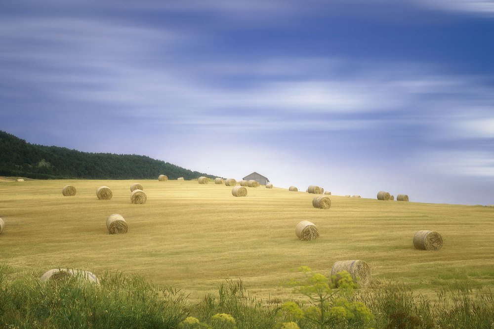 Photograph by GIUSEPPE VELLA