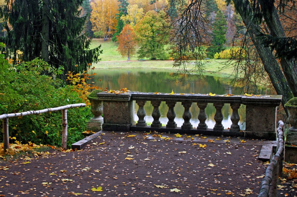 Photograph by Ирина Румянцева