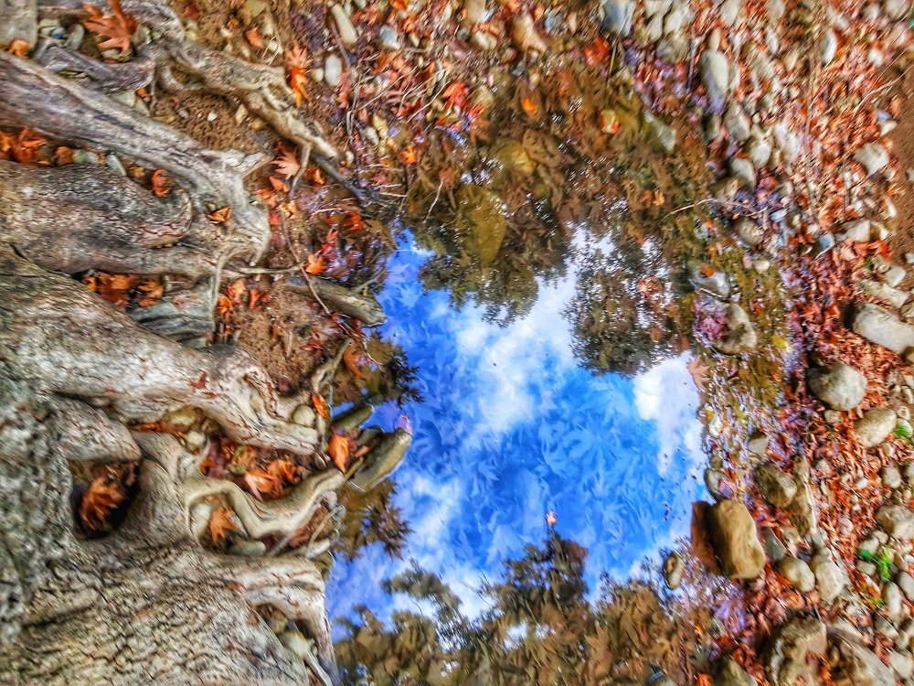 Photograph by Yahya Kakapour