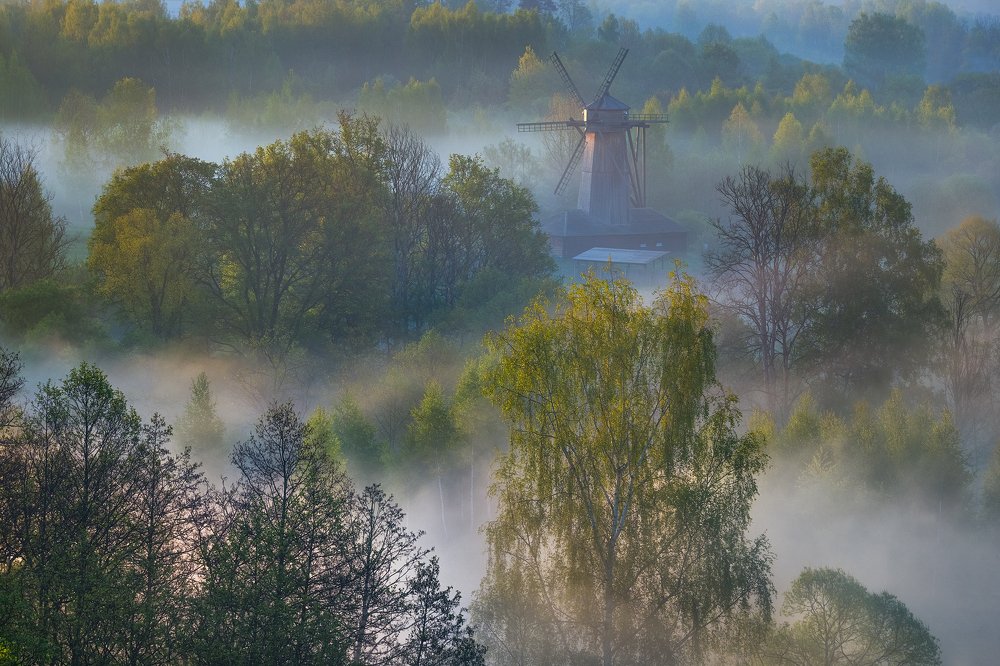 Весеннее утро
